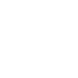 概要ページアイコン